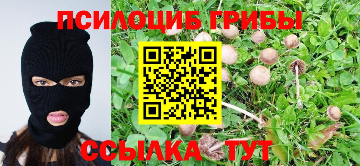 Псилоцибиновые грибы Psilocybe  Вход с VPN  что такое   Валуйки 