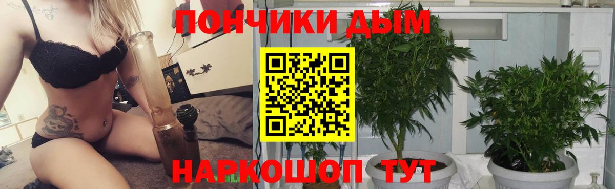 Марихуана индика  Бошки марихуана Amnesia  Валуйки  Марихуана план  Вход с VPN  МАРИХУАНА сатива 